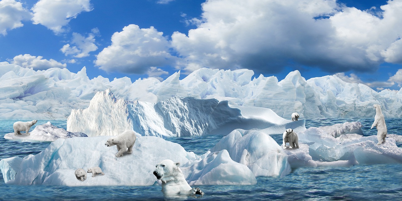 Climate Change: A Driving Factor for the Sixth Mass Extinction?